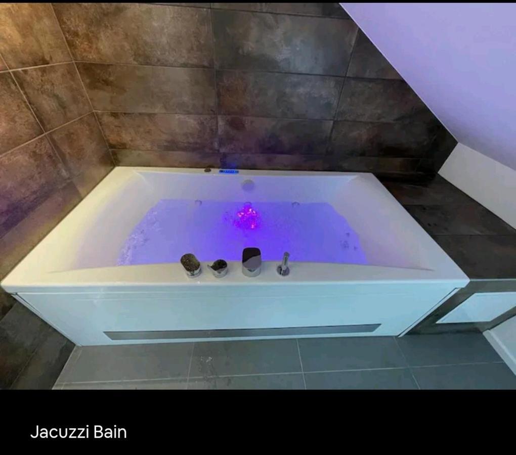 Loft Neuf Avec Bain Jacuzzi Et Terrasse Lejlighed Colmar Eksteriør billede